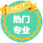 热门专业,高薪就业